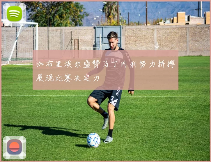 加布里埃尔盛赞马丁内利努力拼搏展现比赛决定力